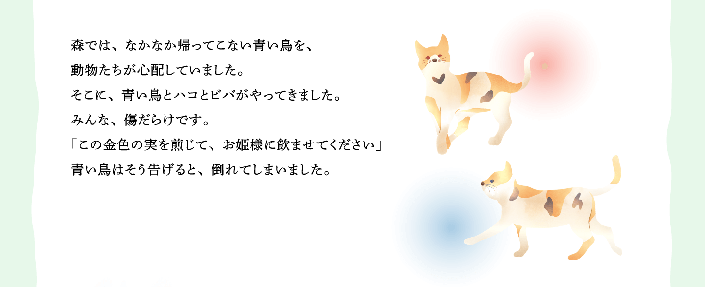 森では、なかなか帰ってこない青い鳥を、
動物たちが心配していました。
そこに、青い鳥とハコとビバがやってきました。
みんな、傷だらけです。
「この金色の実を煎じて、お姫様に飲ませてください」
青い鳥はそう告げると、倒れてしまいました。