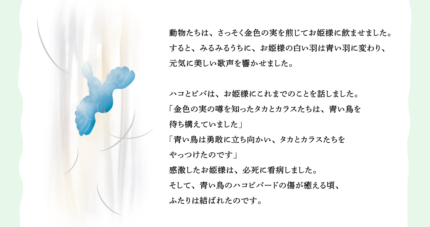 動物たちは、さっそく金色の実を煎じてお姫様に飲ませました。
すると、みるみるうちに、お姫様の白い羽は青い羽に変わり、
元気に美しい歌声を響かせました。
ハコとビバは、お姫様にこれまでのことを話しました。
「金色の実の噂を知ったタカとカラスたちは、青い鳥を
待ち構えていました」
「青い鳥は勇敢に立ち向かい、タカとカラスたちを
やっつけたのです」
感激したお姫様は、必死に看病しました。
そして、青い鳥のハコビバードの傷が癒える頃、
ふたりは結ばれたのです。