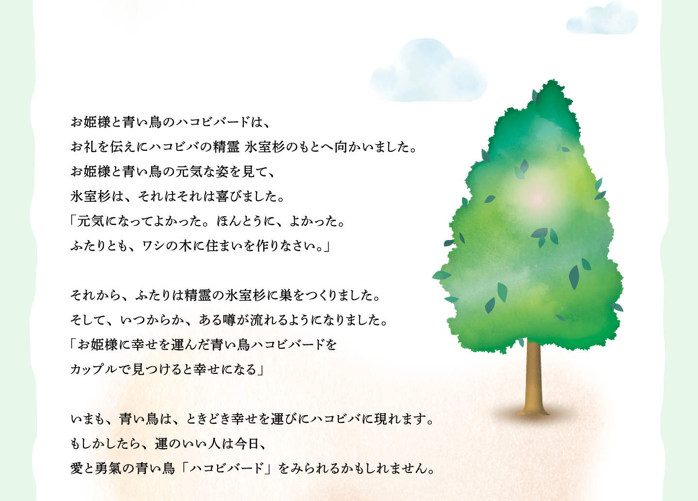 お姫様と青い鳥のハコビバードは、
お礼を伝えにハコビバの精霊 氷室杉のもとへ向かいました。
お姫様と青い鳥の元気な姿を見て、
氷室杉は、それはそれは喜びました。
「元気になってよかった。ほんとうに、よかった。
ふたりとも、ワシの木に住まいを作りなさい。」
それから、ふたりは精霊の氷室杉に巣をつくりました。
そして、いつからか、ある噂が流れるようになりました。
「お姫様に幸せを運んだ青い鳥ハコビバードを
カップルで見つけると幸せになる」
いまも、青い鳥は、ときどき幸せを運びにハコビバに現れます。
もしかしたら、運のいい人は今日、
愛と勇氣の青い鳥「ハコビバード」をみられるかもしれません。